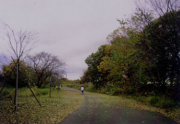 ●続＜尾根緑道・第２弾＞写真〜！_f0028336_8184975.jpg