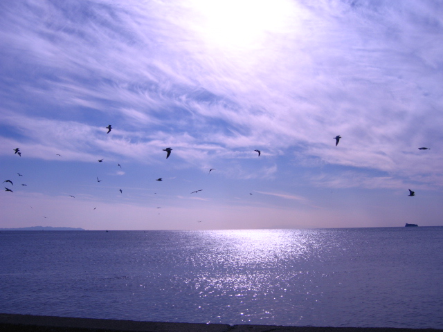 b0088037_942227.jpg