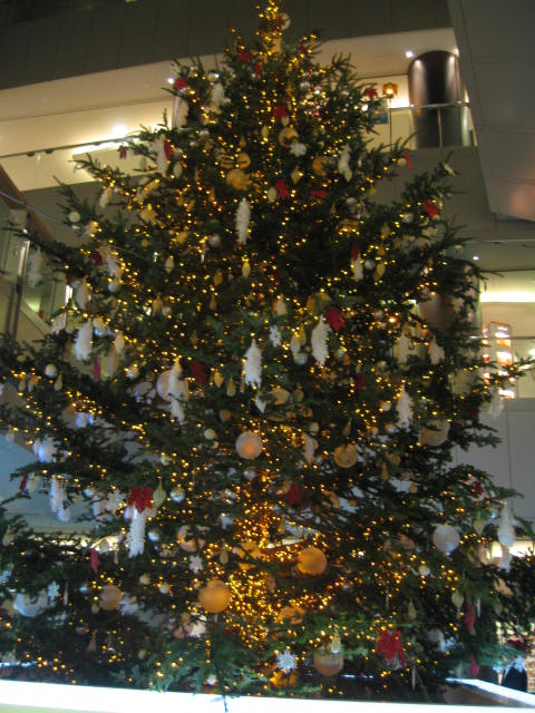 b0088037_9472996.jpg