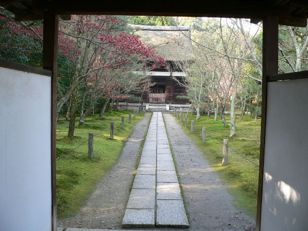 散っていく　一休寺_e0017051_23224450.jpg