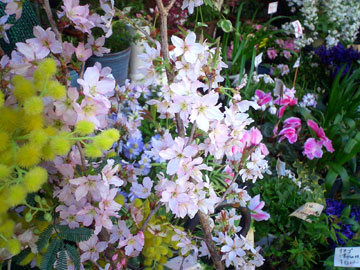 b0058954_23171552.jpg