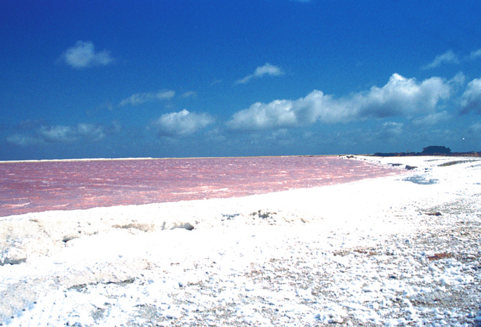 vol.09／BONAIRE - the Netherlands Antilles＜S.Graphics＞_f0077769_1454288.jpg