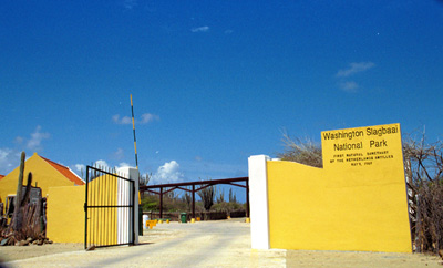 vol.09／BONAIRE - the Netherlands Antilles＜S.Graphics＞_f0077769_1463366.jpg