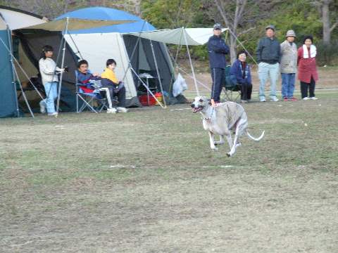 ＮＤＤＣ年末運動会～！！_e0009377_1017171.jpg