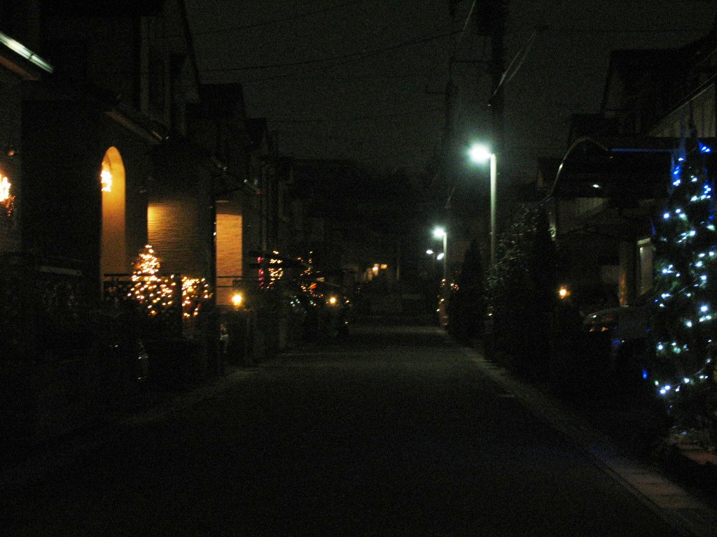 b0089483_21115848.jpg
