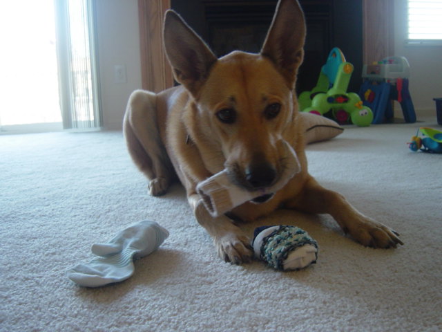 c0079011_2275645.jpg
