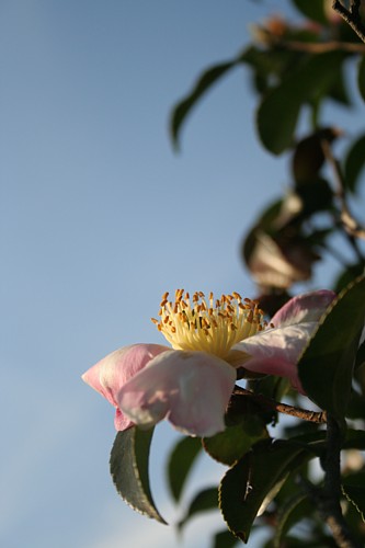 e0080212_13224453.jpg