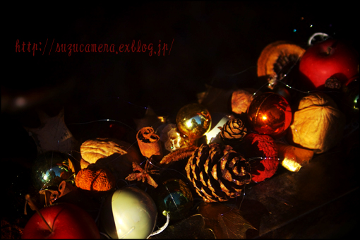 クリスマスの準備_f0100215_1205360.jpg