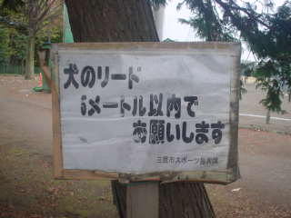 はいっ。寒いです。_f0113224_2271331.jpg
