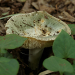 f0108133_035920.jpg