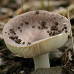 f0108133_042052.jpg