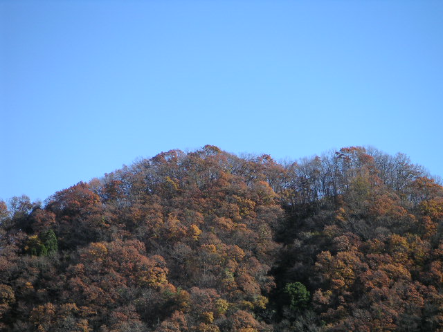 b0023240_0342520.jpg