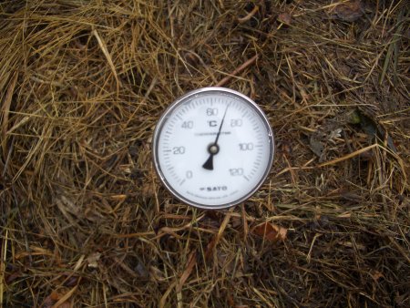 e0020945_8441084.jpg