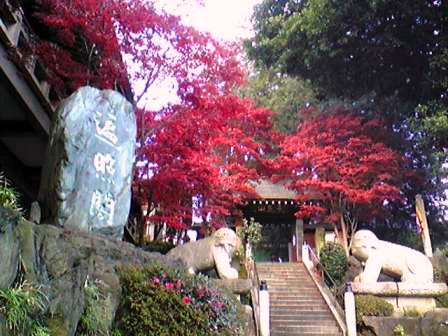 c0105183_23463453.jpg