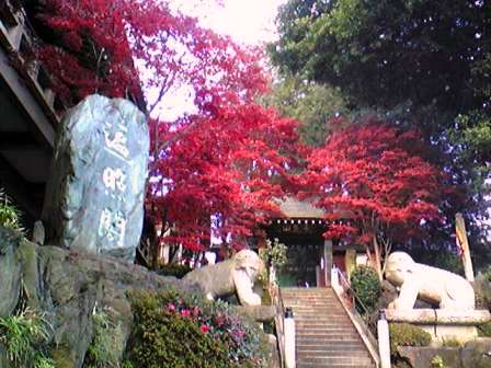 にっぽん・・？　～unique temple～_c0105183_23463453.jpg