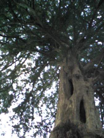 c0105183_23531325.jpg