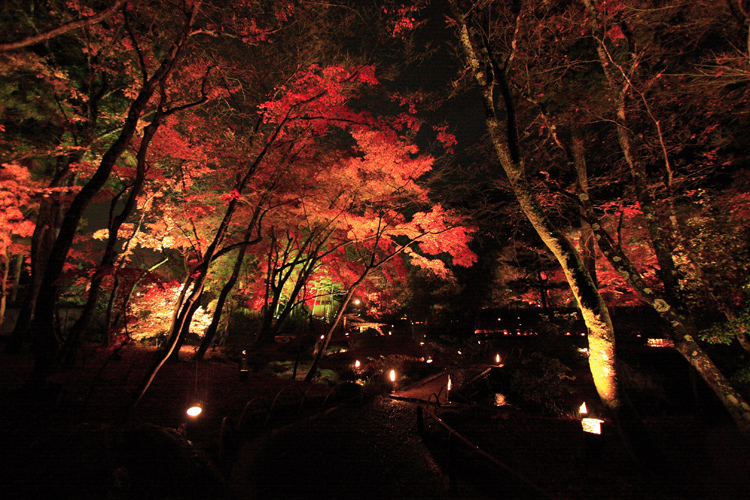 嵐山花灯路　～宝厳院～_e0051888_22311167.jpg