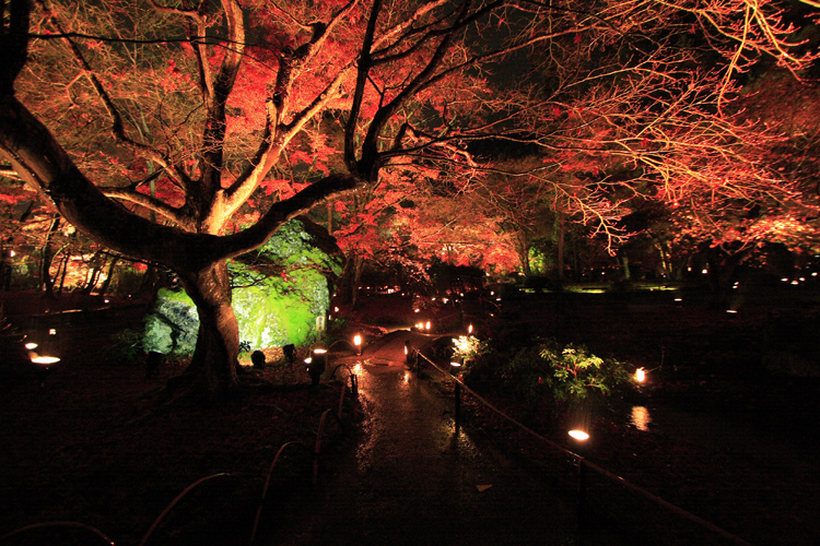 嵐山花灯路　～宝厳院～_e0051888_22323326.jpg