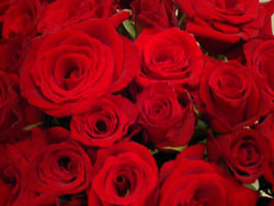 b0059000_15502349.jpg