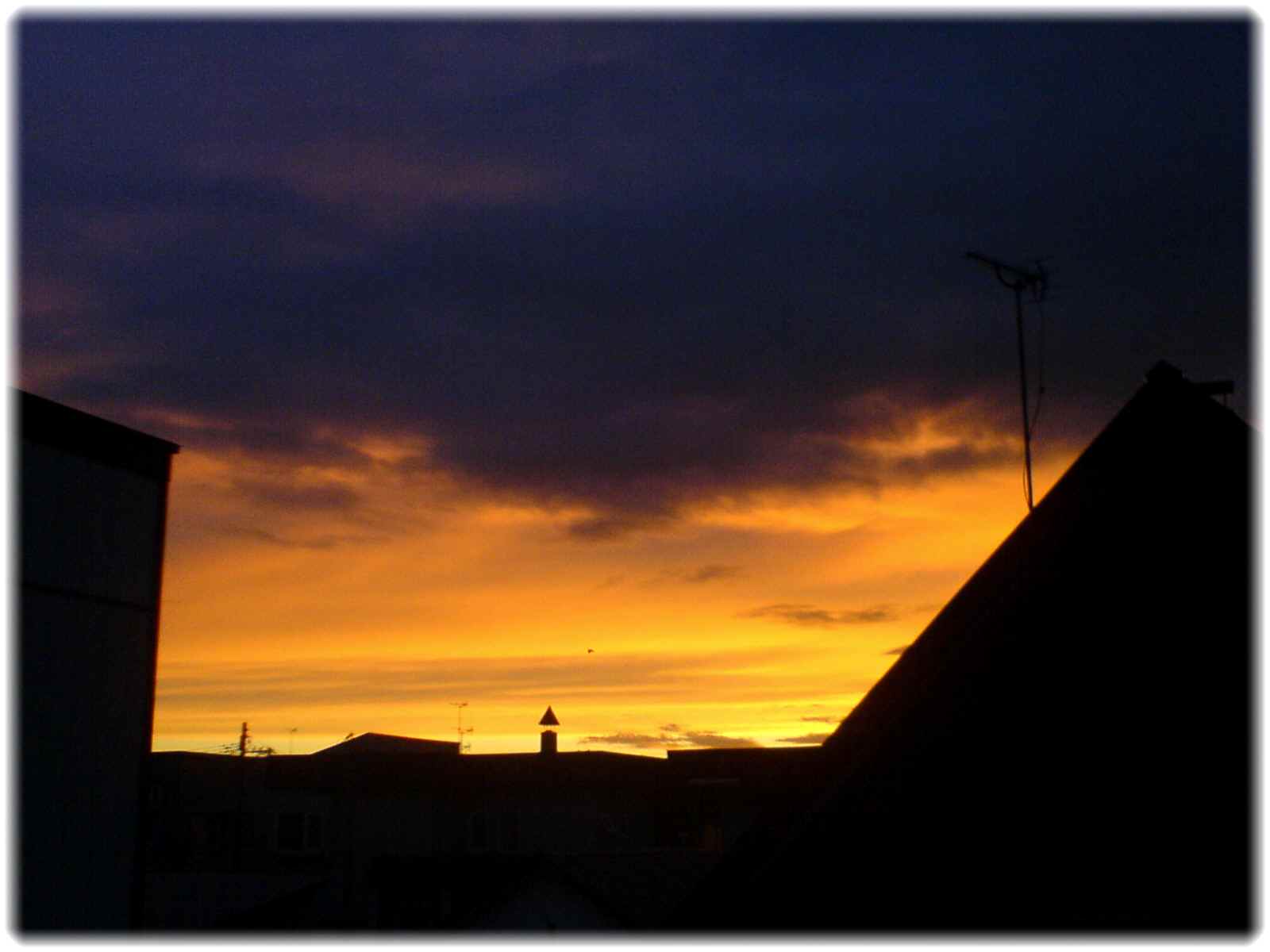 d0096103_13415648.jpg