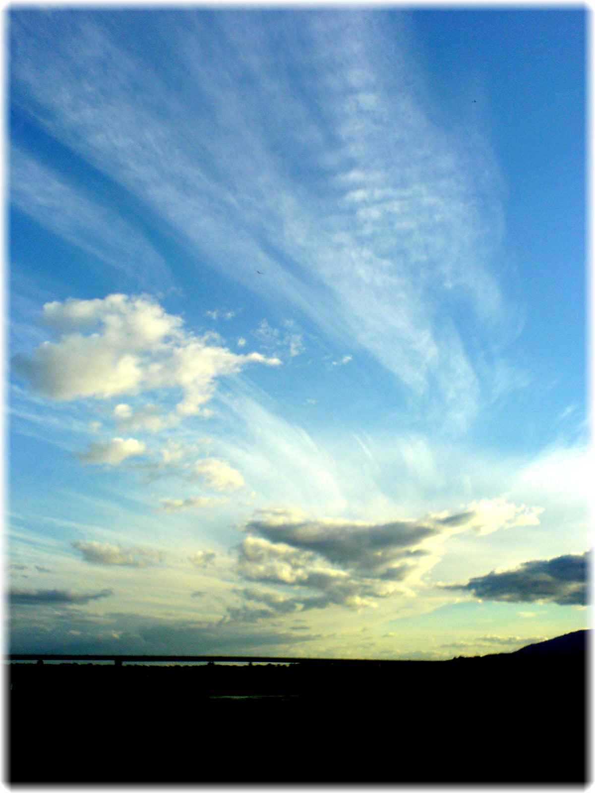 d0096103_13583241.jpg