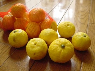 b0026408_9211045.jpg