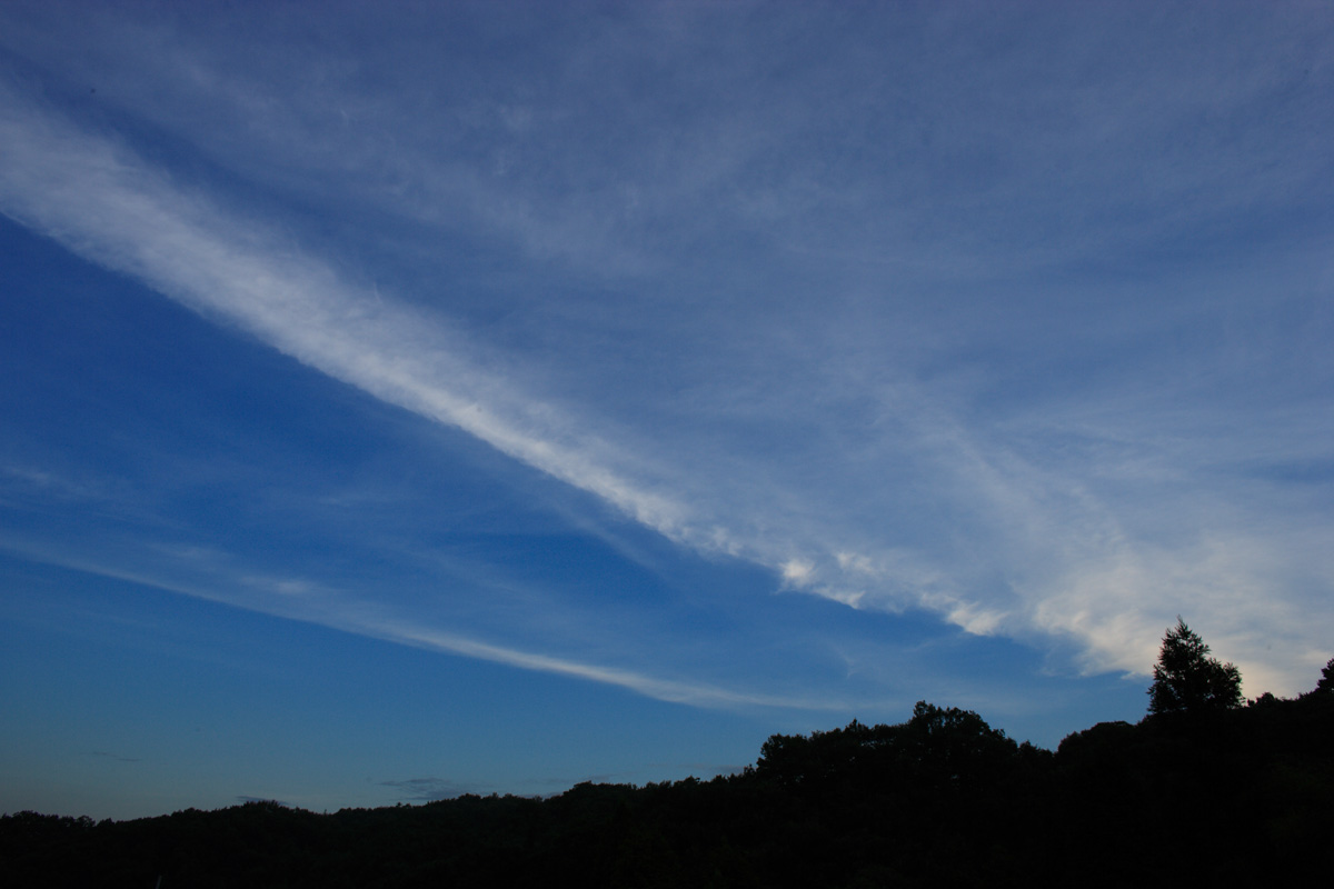 今年のおもひで　～アーカイブ夏～_d0073620_2326266.jpg