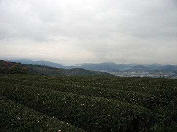 e0089826_22272925.jpg