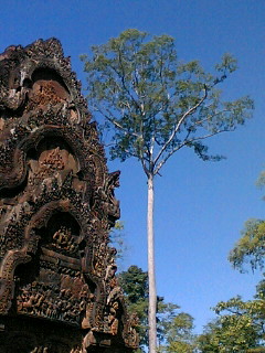 b0062337_15574589.jpg