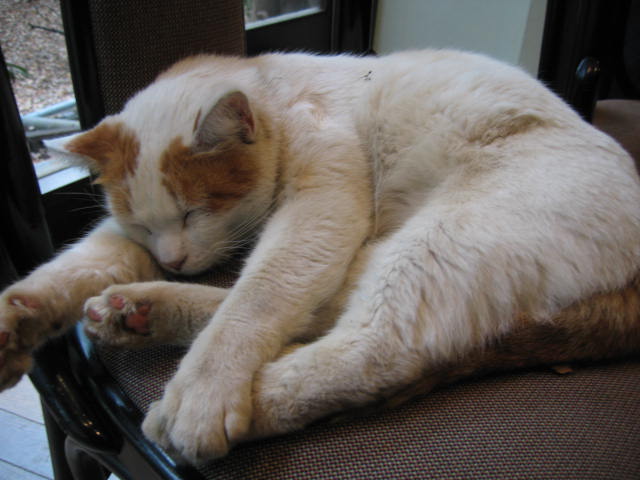 b0088037_23334270.jpg