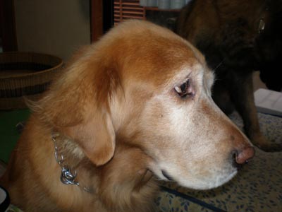 e0023643_1432459.jpg