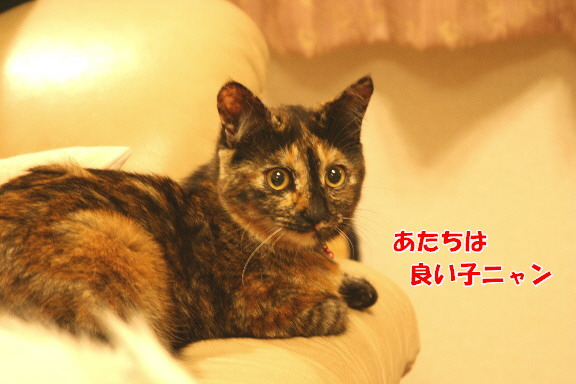 d0013149_0313125.jpg