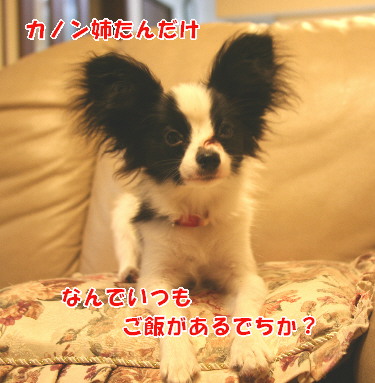 d0013149_125942.jpg