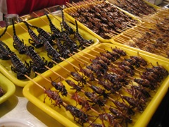 f0080168_046685.jpg