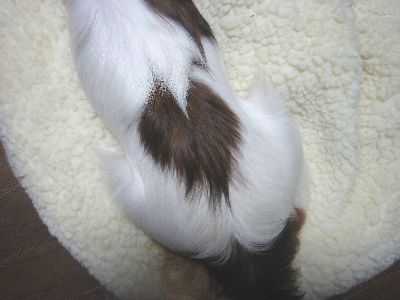 e0010488_26271.jpg