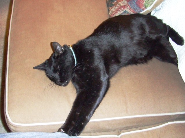 c0062603_16421647.jpg