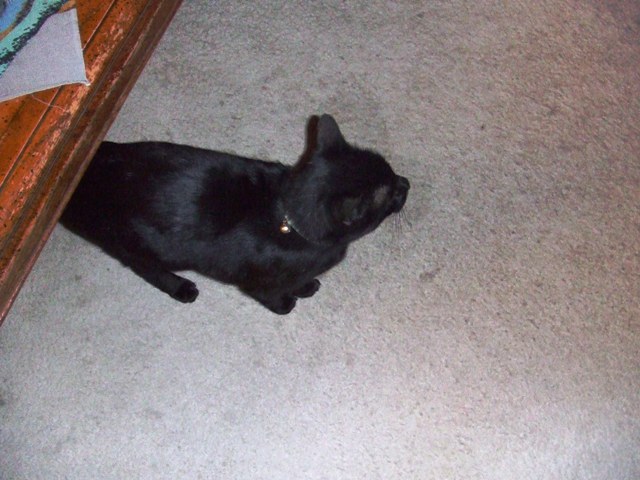 c0062603_164311100.jpg
