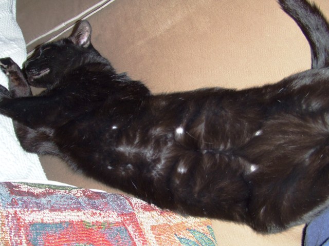 c0062603_16494029.jpg