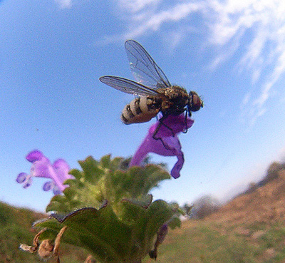 d0090322_18223797.jpg