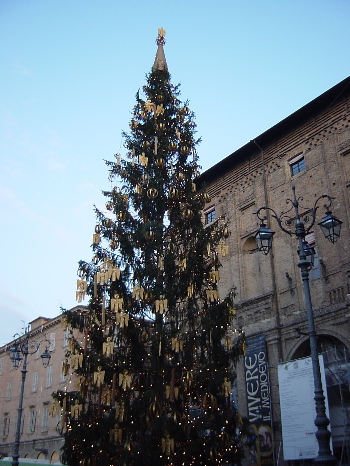 e0059322_54130.jpg