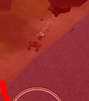 f0031243_1594423.jpg