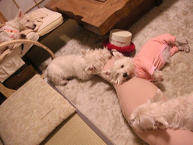 f0034444_2273534.jpg