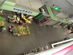 花市場_d0082655_1552565.jpg