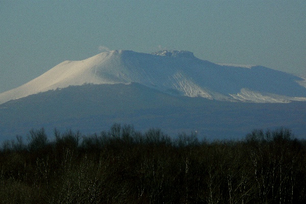 b0068572_9473479.jpg