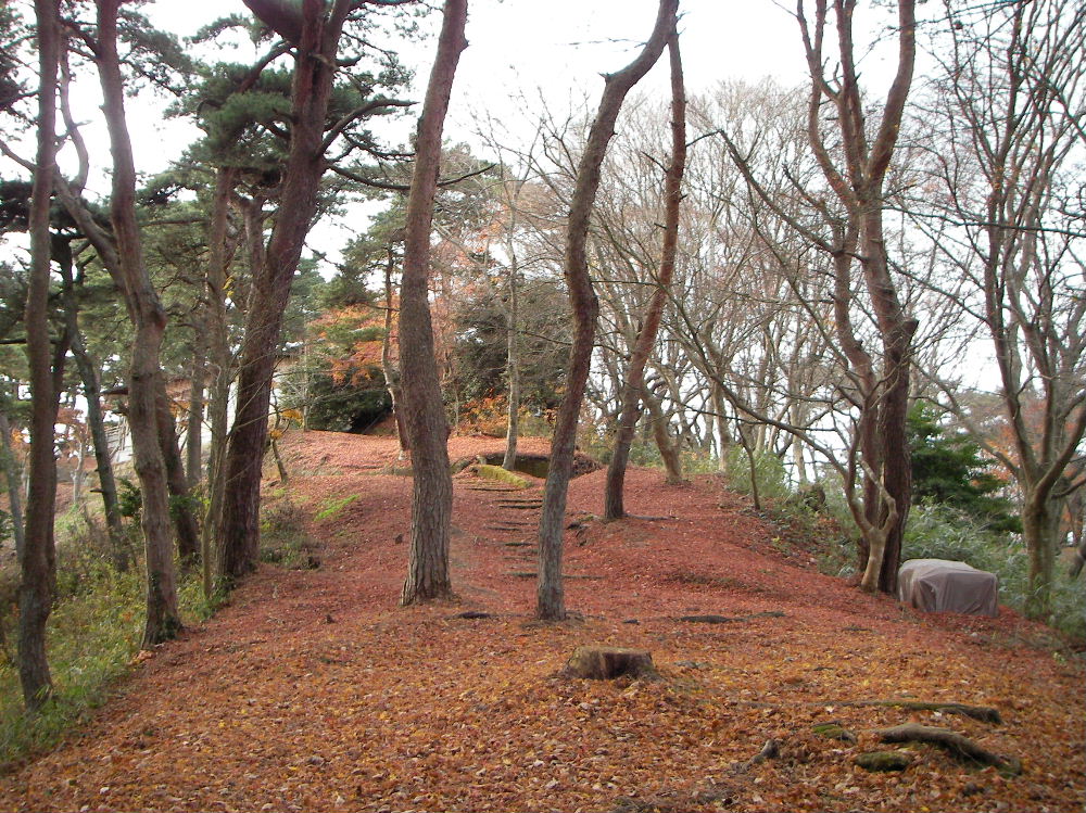 松島の扇谷「幽観」・「双観山」・「西行戻しの松」_f0100593_2056997.jpg