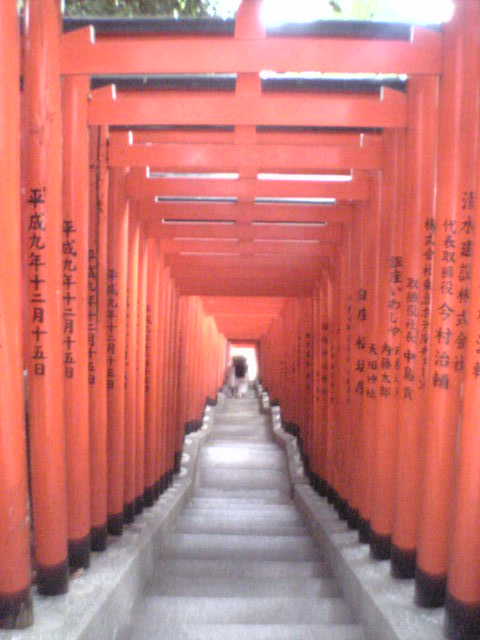 e0069895_964871.jpg