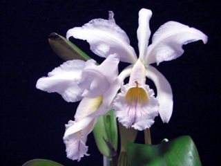d0007501_6494828.jpg