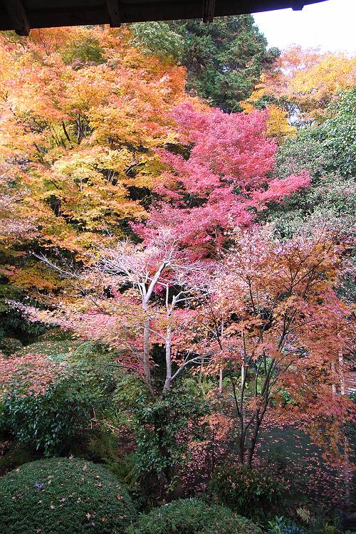 龍安寺・・・その２_a0092804_055188.jpg