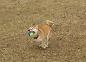 f0004309_0485314.jpg