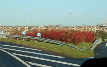 d0080118_21233514.jpg